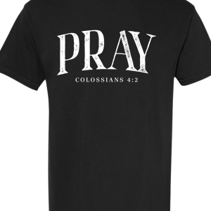 Faith Word Series - PRAY